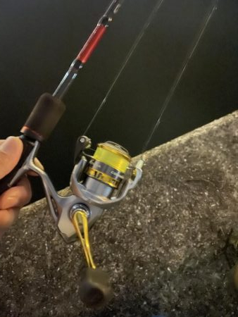 アジはどごに…