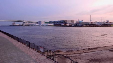 太っちょなマチヌ