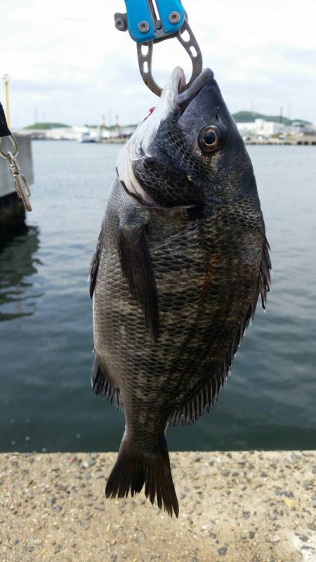 紀州釣りに挑戦！！