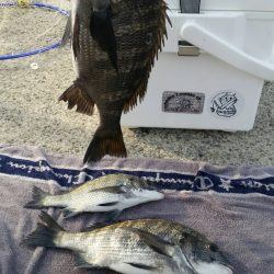 紀州釣りに挑戦!!