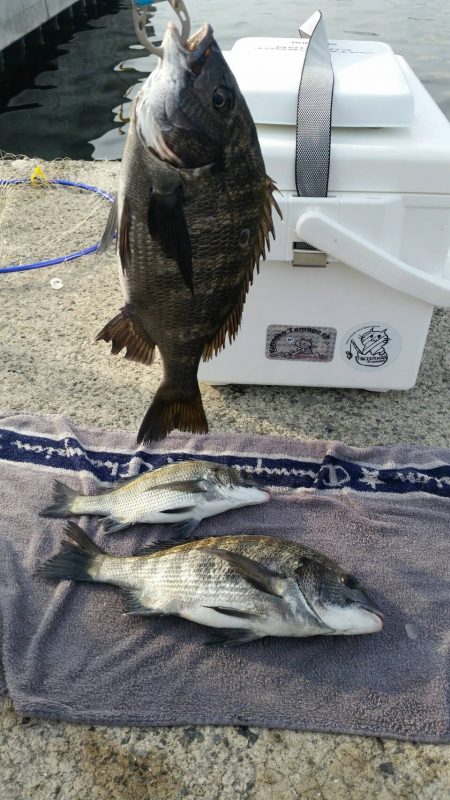 紀州釣りに挑戦！！