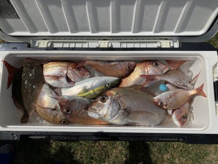 鳴門沖でマダイ