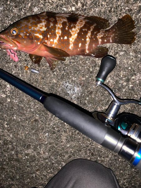 良い時期になってきた