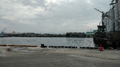 連日釣れました