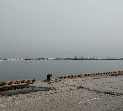 早朝に快適釣行