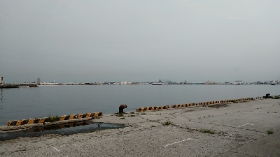 早朝に快適釣行