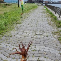 オクトパッシング