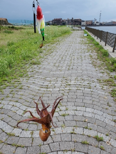 オクトパッシング