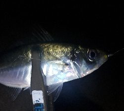 ライトゲーム三人衆