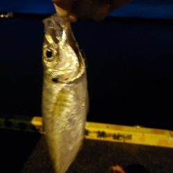 久しぶりに行ってみたら…