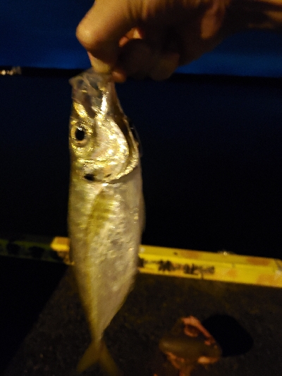 久しぶりに行ってみたら…