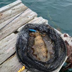 イカダエギング