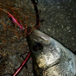 インパクトのある１日。