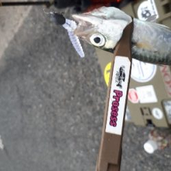 サバゲーはアジングの練習~