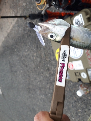 サバゲーはアジングの練習~