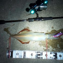 無から一転時合突入