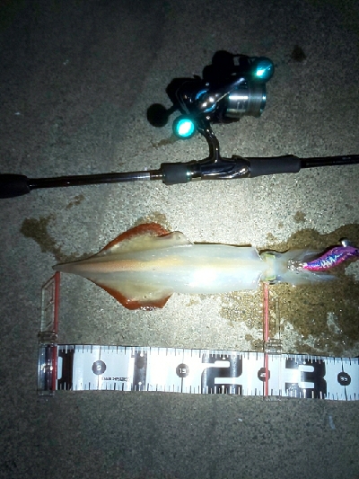 無から一転時合突入