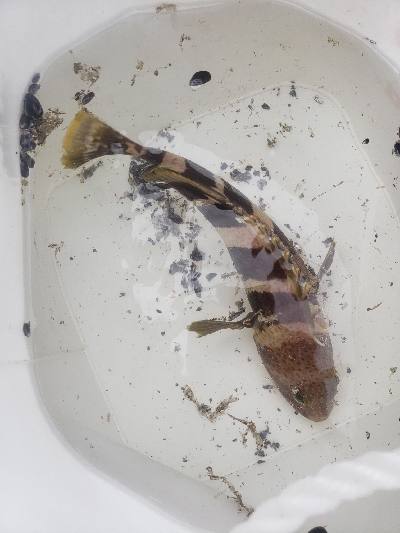 まだちょっとはやい？