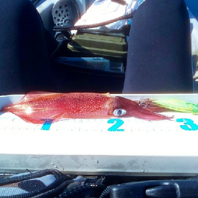 初ｶﾔｯｸﾌｨｯｼﾝｸﾞ