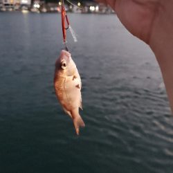 仕事終わりに②