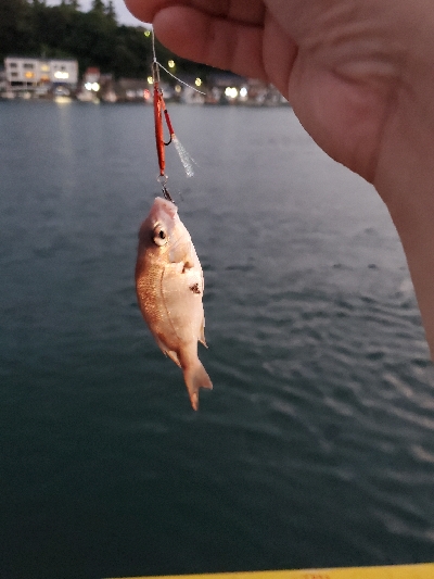 仕事終わりに②