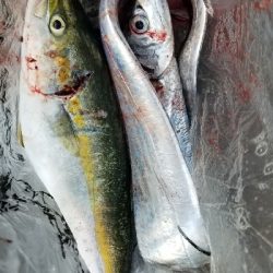 ルアーフィッシング