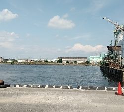 今日はハリス切れなし