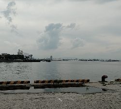 やっぱ最盛期ですね