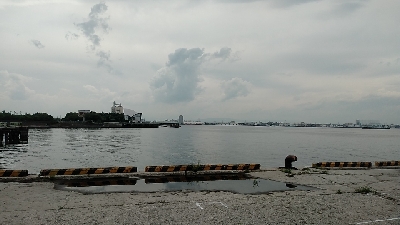 やっぱ最盛期ですね