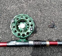 タモを忘れた時に限って