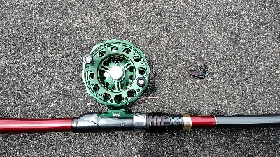 タモを忘れた時に限って