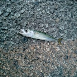 フロートアジング