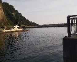 時合が短い。。。