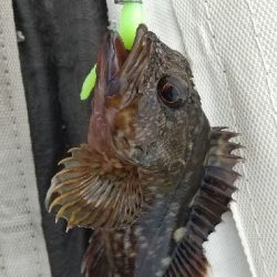 またまた仕事帰りに