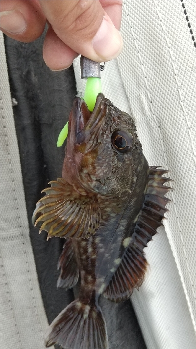 またまた仕事帰りに