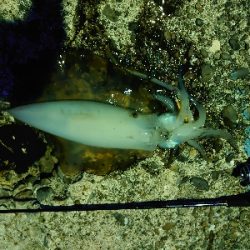 仕事前の20分でまさかのサイズ‼️