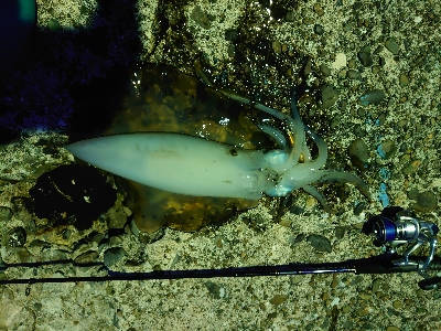 仕事前の20分でまさかのサイズ‼️