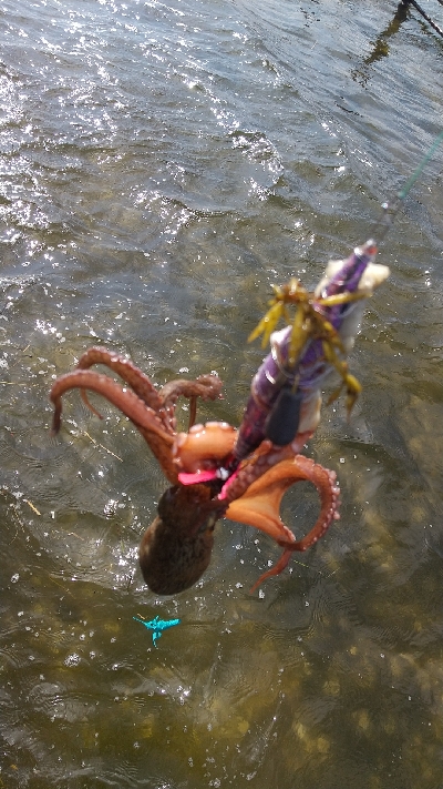 とりあえず暑さ対策を！！