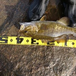 夕方短時間で40UP！