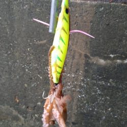 雨の日はあたりが小さい?