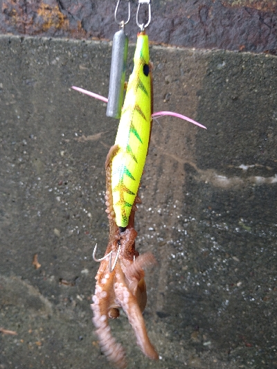 雨の日はあたりが小さい?