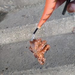 底取りづらい中、なんとか１杯