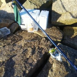 大塩海岸のキス釣り