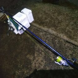 苅屋海岸のキス釣り