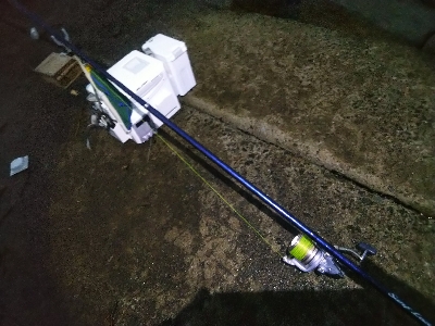 苅屋海岸のキス釣り