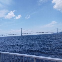 ショアジギング