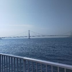 ショアジギング