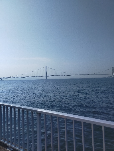 ショアジギング