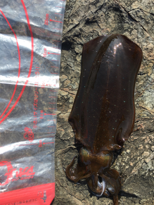 晩酌用のおつまみ確保