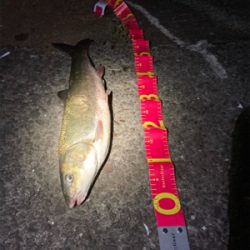 シーンと静まりかえった水面からガバっ!